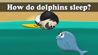 How do dolphins sleep  aumsum kids science education children [upl. by Odnarb]