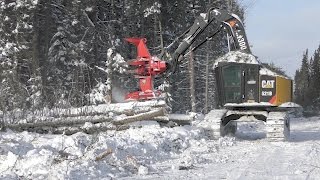 Cat 521B Feller Buncher in Togo Mn [upl. by Farrah]