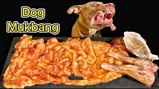 ASMR MUKBANG PITBULL EATING RAW FOODS DUCK HEADS COW TONGUE [upl. by Trebla]