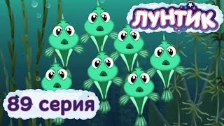 Лунтик и его друзья  89 серия Мальки [upl. by Cerell]