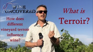 What is Terroir [upl. by Scherle729]