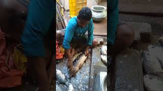 Big fish Cutting market ❤️ bigfishamazing cuttingfish viral video 🥰🥰😍 [upl. by Atiuqes]