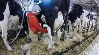 Alexandra Colbert  Ferme laitière Maréjaco Inc SainteEulalie QC 2016 [upl. by Annaiviv331]