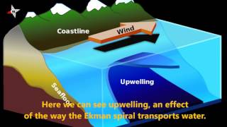 Hansen Ekmans Spiral and the effects of Ekman Transport [upl. by Faden13]