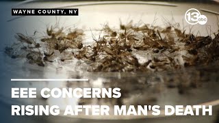 Concerns growing over EEE a rare mosquitoborne virus that killed a New Hampshire man [upl. by Zeba663]