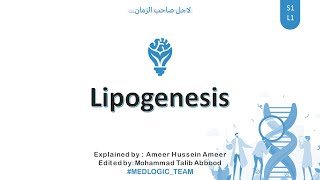 Lipogenesis Fatty Acid synthesis Part 1 [upl. by Nels186]