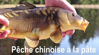 Pêche de la carpe au coup technique chinoise à la pâte [upl. by Demetra]