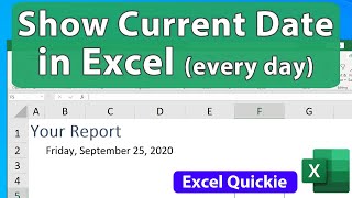 Show the Current Date Every Day in Excel or Time  Excel Quickie 65 [upl. by Gran]