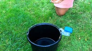 How to apply Beneficial Nematodes  March Biological [upl. by Vinnie981]