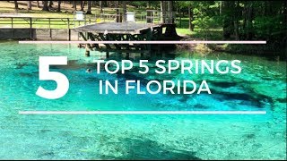 TOP 5 SPRINGS in FLORIDA with a CAMPGROUND [upl. by Dyoll]