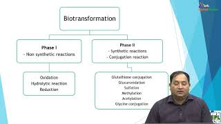 PharmacokineticsBiotransformation and elimination [upl. by Resa]