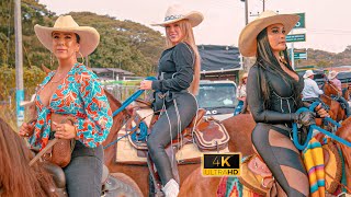 Gran Cabalgata en las Fiestas de Zarzal  Valle 😍 COLOMBIA 2024 [upl. by Otina]