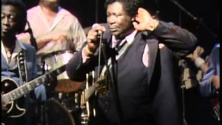 BB King  05 Sell My Monkey Live At Nicks 1983 HD [upl. by Job]