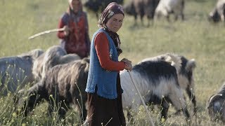 Assignment Asia Turkeys last Anatolian nomads [upl. by Frayda801]