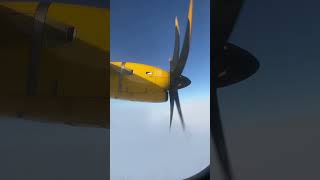 Aurigny arrival into Guensey from Paris Charles de Gaulle [upl. by Selassie]