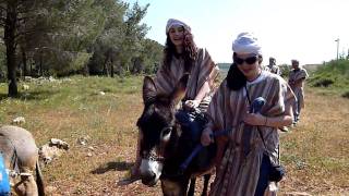 Donkey Riding at Kfar Kedem 1 of 2 [upl. by Yirinec]