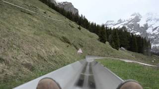 Kandersteg toboggan run [upl. by Mayhew733]