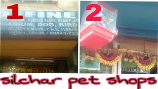 Silchar pet shop vlog 7 by bishal vlogs [upl. by Marylynne]