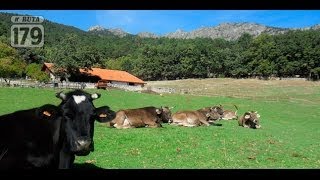 Finca Camorritos La primera granja biodinámica de España se encuentra en Cercedilla [upl. by Viscardi]