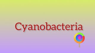 What is Cyanobacteria [upl. by Ahtela1]