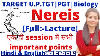 UPTGTPGTLT Grade biologyNereis Full lactureUptgtpgtbiologyclasesBsc biology By Priyal bhati [upl. by Nottarts]