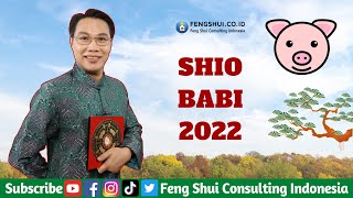 Shio Babi di Tahun 2022  Yulius Fang Feng Shui Consulting Indonesia [upl. by Gnaw]