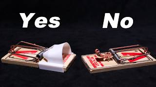 Mouse Trap Hood  How To Make A Mouse Trap Work Even Better Mousetrap Monday [upl. by Theall45]