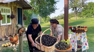 Recipe for blackberry compote and jam for the winter THE BEST EGGPLANT DISH [upl. by Karlee]