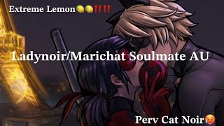 🍋LadynoirMarichat Soulmate AU Part 2 Miraculous Ladybug texting story Spicy🔥 [upl. by Alimat]