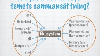 Ekosystem gammal [upl. by Yesiad]