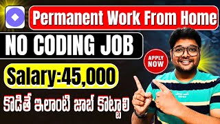 Permanent Work from Home jobs  No coding Salary 45k Virtual InterviewLatest Jobs in Telugu 2024 [upl. by Nonac]