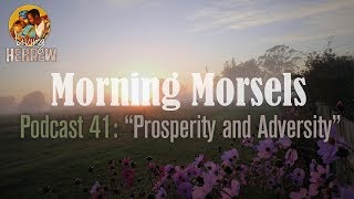 Morning Morsels 041 Prosperity and Adversity [upl. by Ennayram711]