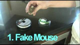 Fake Mouse Prank [upl. by Galasyn395]