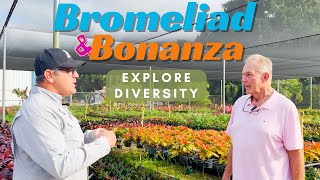 Bromeliad Bonanza Exploring Diversity Growth Stages and Ground Cover Varieties [upl. by Ramedlav534]