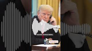 Mitschnitt Karl Nehammers Telefonat mit Donald Trump 🇦🇹🇺🇲 satire [upl. by Pris]