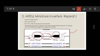 MITEs  Miniature Inverted Repeat Transposable Element Transposons Jumping genes [upl. by Steddman]