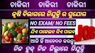 odisha agriculture office jrf post recruitment 2024  salary up to 31000 per month  apply now [upl. by Aimik]