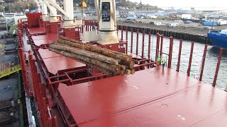 Loading timber onto a cargo ship [upl. by Dugald]