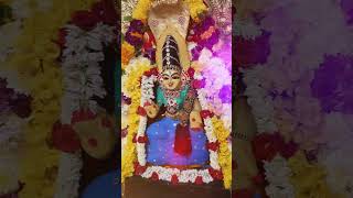 நாகவள்ளி அம்மனுக்கு பாலாம்பிகை அலங்காரம்ammannagamman nagamani nagavalliibalambikaibalambigai [upl. by Eceirehs]