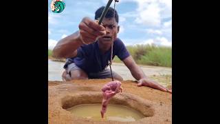 Catch fish you chicken lever shortvideo shorts fishinglife [upl. by Hastings]