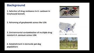 A molecular genetic investigation into the origins of anthelmintic drugby Noelle Thundathil [upl. by Aleakcim258]