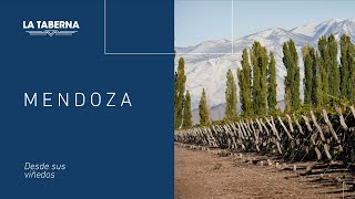 Mendoza Desde sus viñedos [upl. by Elorac]