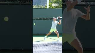 Holger Rune Forehand slowmotion shorts slowmotion [upl. by Ojyma]