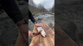 Norwegian salmon accompanied by the sound of water [upl. by Berners]