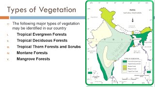 Types of Vegetation  Tropical Thorn Forests and Scrubs Montane Forests amp Mangrove Forests [upl. by Elin]