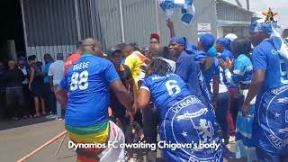 Haa ma Dembare ane rudo  Song and Dance Moment in celebration of Chigovas life [upl. by Eibot9]