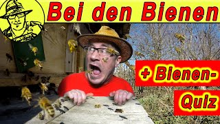 Rigotti bei den Bienen Futterkontrolle Mit LernQuiz für Schüler und Imkerneulinge 😃 [upl. by Abil]