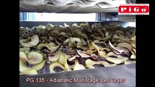 PIGO srl  Dehydration and Drying for fruit processing [upl. by Sarchet]