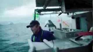 Lofoten Profilfilm  quotHold i torskenquot [upl. by Idnem]