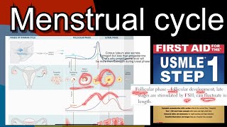 Menstrual cycle  ovarian amp uterine cycle full hormonal changes in HindiUrdu by first aid for step1 [upl. by Aihsas]